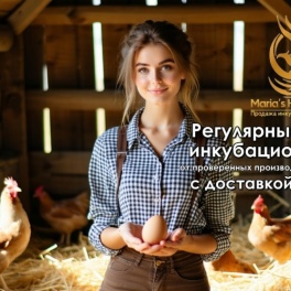 Яйцо инкубационное Wanxi
