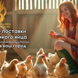 Яйцо инкубационное Крупная серая порода (тамбовский тип)
