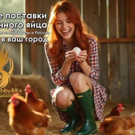 Яйцо инкубационное Hybrid Converter
